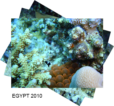 egypt2010
